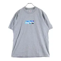 SUPREME (シュプリーム) 21SS Emilio Pucci Box Logo Tee エミリオ プッチ ボックスロゴ クルーネック半袖Tシャツ カットソー グレー