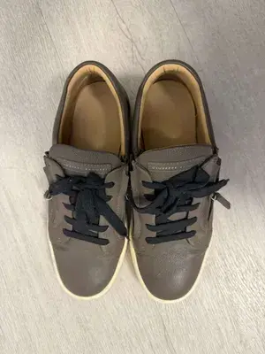 giuseppe zanotti