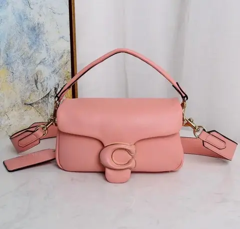 Pink Tabby Coach Bag