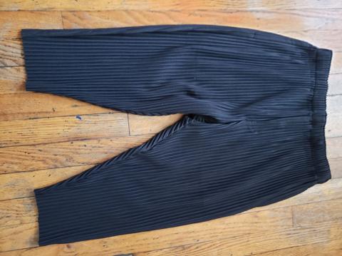 Issey Miyake homme plisse pants