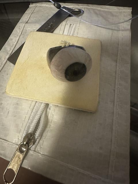 Prosthetic Eye Silver Ring