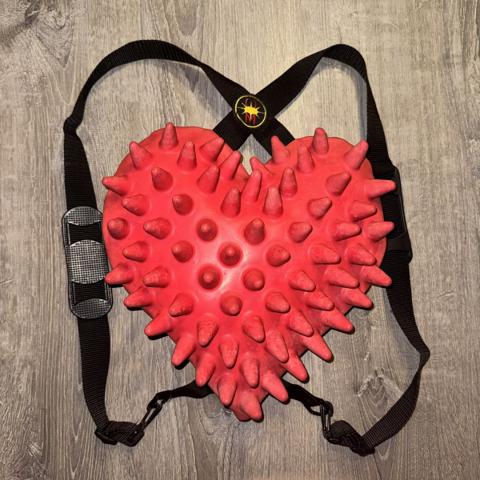 Craig Morrison Heart Bug Bag