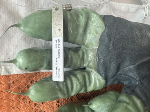 Carol Christian gloves CCP
