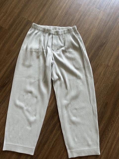 Pleated pants