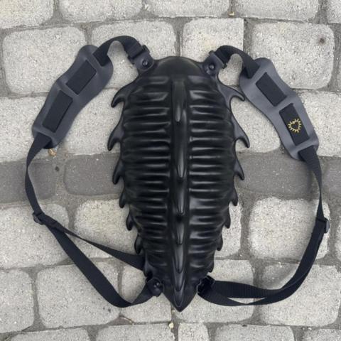craig morrison millennium bug bag