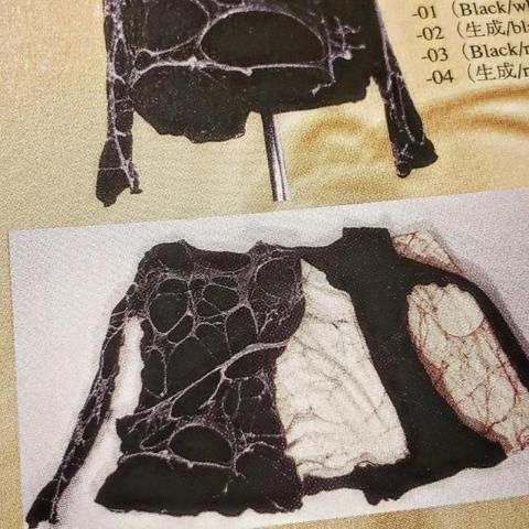 alice auaa spider net