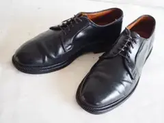 Alden 9901 Black Cordovan Plain Toe