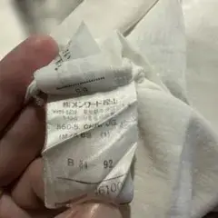 ゴルチェTシャツ サイズ確認用
