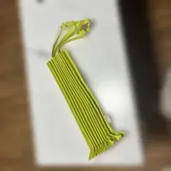 イッセイミヤケ トランクプリーツバッグ