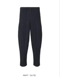 HOMME PLISSÉ ISSEY MIYAKE 消しパン サイズ1 ネイビー