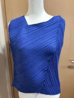 ⭐️本日限定価格⭐️プリーツプリーズブルートップス極美品⭐️