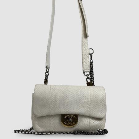 Chanel Flap Bag in Pitone