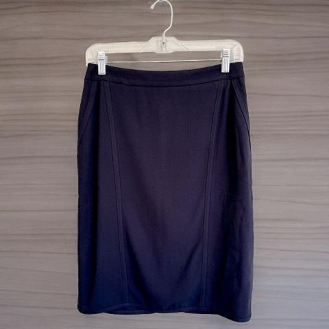 Max Mara Navy Blue Pencil Skirt 6