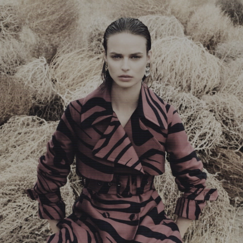 Roberto Cavalli